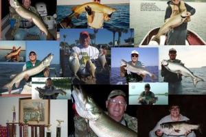 Braggin' Board Photo: Muske Walleye Bass