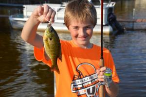 Braggin' Board Photo: Fall Bluegill From The Dock