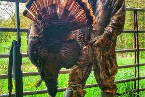 Braggin' Board Photo: 2015 Missouri Spring Turkey Hunt