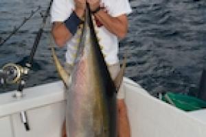 Braggin' Board Photo: Tuna Offshore with Peace Marvel1899