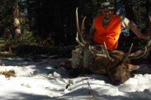 Braggin' Board Photo: First Bull Elk!!!