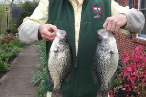 Braggin' Board Photo: It's Crappie Time!