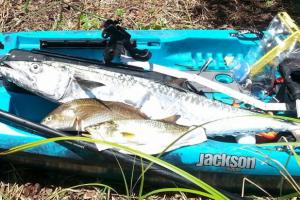 Braggin' Board Photo: 47" Smoker King, 20" Redfish, 18" Speck