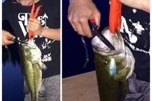 Braggin' Board Photo: Trying to get that hook out!