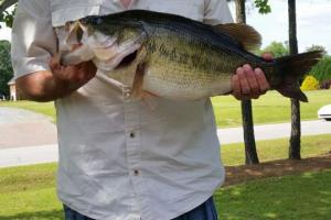 Braggin' Board Photo: 10 lb Bass