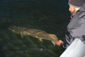 Braggin' Board Photo: Catch & Release fishing
