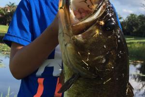 Braggin' Board Photo: Nice largemouth bass