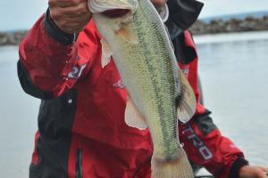 Braggin' Board Photo: 3rd Place Finish on Dardanelle For KVD