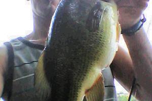 Braggin' Board Photo: Bass