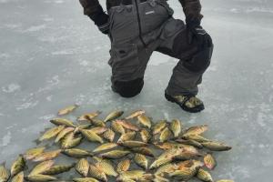 Braggin' Board Photo: Fishing Yellow Bass