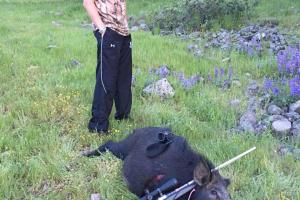 Braggin' Board Photo: Hog Hunting Trip