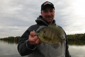 Braggin' Board Photo: Big Fall Blue Gill