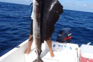 Braggin' Board Photo: Sailfish