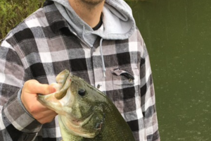 Braggin' Board Photo: Nice Size Bass