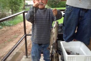 Braggin' Board Photo: We're having trout tonight!