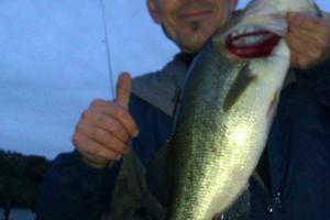 Braggin' Board Photo: Nice Bass