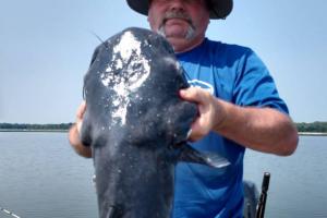 Braggin' Board Photo: 25.9 lbs Catfish
