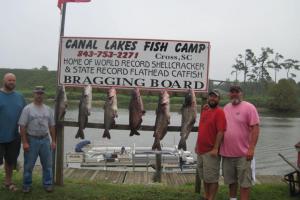 Braggin' Board Photo: Some Big Cats