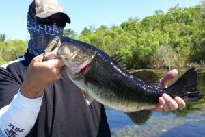 Braggin' Board Photo: Florida Bass 101