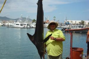 Braggin' Board Photo: Cabo 2014 Striped Marlin