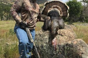 Braggin' Board Photo: Turkey Hunting