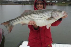 Braggin' Board Photo: monster bass fish