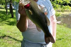 Braggin' Board Photo: Caught a nice Big Bass