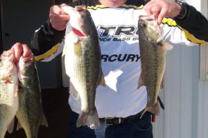 Braggin' Board Photo: Largemouth