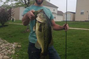 Braggin' Board Photo: Good Size Bass