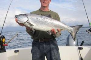 Braggin' Board Photo: Sitka Alaska, King Salmon