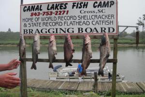 Braggin' Board Photo: Another Kind of Bragging Board