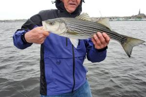 Braggin' Board Photo: Fishing Stripe Bass