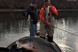 Braggin' Board Photo: Fishing Stripers