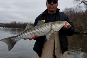 Braggin' Board Photo: Love my bass