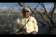 1Source Video: Fall Fishing with a Bomber Fat Free Shad