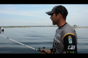 1Source Video: How to Fish When the Shad Spawn
