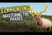 Phases of the Rut: Elk Hunting Season Breakdown by Ralph and Vicki             Cianciarulo