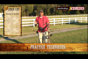 1Source Video: Why You Should Only Use 3 Arrows When Shooting Your Bow