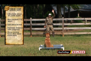 1Source Video: Retriever Training:  Direct Your Dog using this Casting Drill