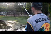 1Source Video: Fishing Hay Grass to Catch Big Fish