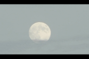 1Source Video: Moon Phase & Deer Activity