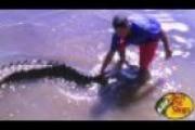 1Source Video: Fishing with Jersey Justin Intense Adventures: Costa Rica Adventure