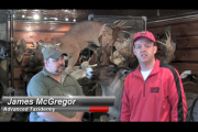 1Source Video: Taxidermy Maintenance Tips