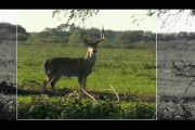 1Source Video: The Most Effective Bullet Design for Deer Hunting