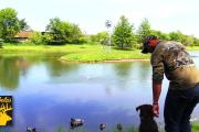 Introducing Your Retriever To Decoys