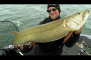 1Source Video: Pete Maina: Why NITRO's ZV21 is for Muskie Anglers