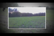 1Source Video: Time Lapse vs. Motion Trail Cameras