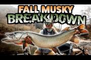 Fall Musky Breakdown | Lures And Techniques