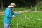 News & Tips: Food Plots: Predators, Protection, and Possibilities (video)...