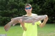 News & Tips: Stinkbaits & Catfish - Fishing Tip